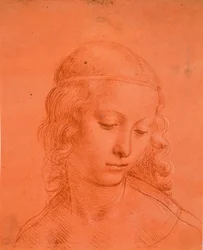 乙女の頭、c。 1508-10（準備された赤い紙に白いラッカーを加えた血）